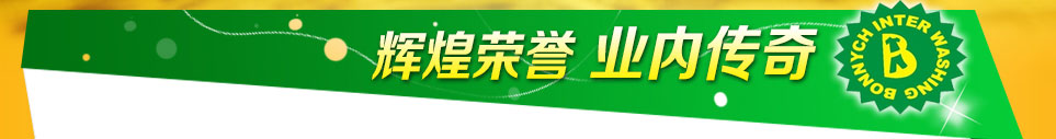 布兰奇国际洗衣-辉煌荣誉 业内传奇