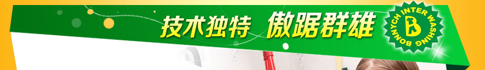 布兰奇国际洗衣-技术独特