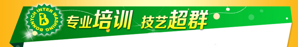 布兰奇国际洗衣-专业培训 技艺超群