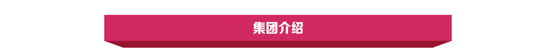都市118连锁酒店--集团介绍