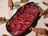 高兴壹锅鲜牛肉火锅加盟店（滁州店）