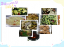 聚能教育|聚能美味工作餐 料理你的万千心意