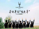 黑羊社奶茶品牌，内地女歌手许佳慧亲情代言