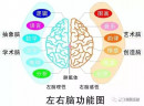 【超能金脑】为什么要对孩子进行全脑潜能开发？