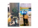 京东爸爸的玩具屋，教你会员卡赚千万