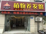 金紫雨