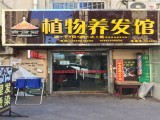 金紫雨