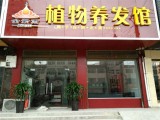 金紫雨植物养发馆