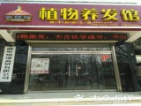 金紫雨植物养发