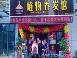 金紫雨植物养发