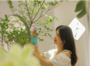 37°生活美学教你：选择加盟女装品牌要注意哪几个环节？