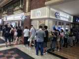 经典泰迪私藏茶