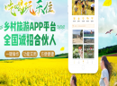乡村探秘游拥有海量粉丝，赚钱也能变得如此轻松