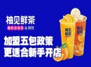 加盟柚见鲜茶，小茶饮成就大事业！